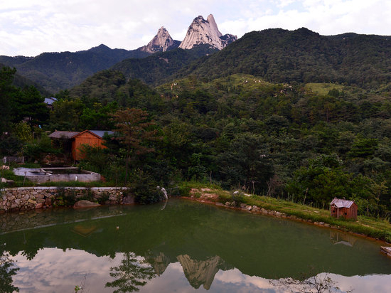頂門頂戶頂梁柱，功名利祿靠此處！不看后悔！