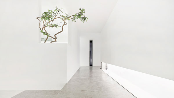 設(shè)計(jì)空間的留白，綠植的存在更顯空曠與天地寬廣